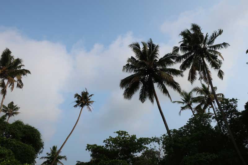 View from the boat